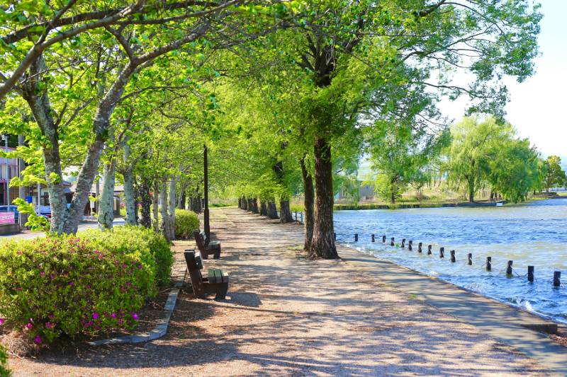 Liczenie odwiedzających bez prądu i internetu. Praktyczne rozwiązania SensMax.